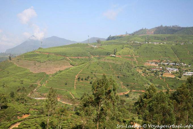 Landscape Architecture Sri Lanka, Central Province - Sri Lanka Ceylon