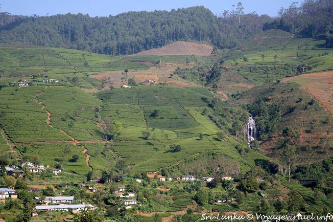 Landscape towards Talawakele and St Clair Falls - Sri Lanka Ceylon