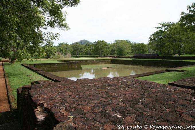 Basin pad in the gardens of Sigiriya - Sri Lanka Ceylon