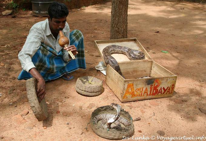 The snake charmer Sigiriya Mount of Remembrance - Sri Lanka Ceylon