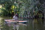 Fisherman in the mangroves, Beruwela, Sri Lanka Ceylon.