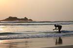 Evening toilet in Laccadive Sea, Beruwela, Sri Lanka Ceylon.