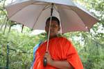 Monk umbrella, Dambulla, Sri Lanka Ceylon.