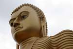 Big head of golden Buddha, Dambulla, Sri Lanka Ceylon.