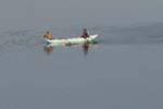 Fishermen in traditional boat, lake Kandalama, Dambulla, Sri Lanka Ceylon.
