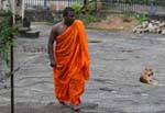 Monk in his saffron robe, Gadaladeniya Temple, Kandy, Sri Lanka Ceylon.