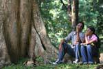 Lovers on roots of a tree, Royal Botanic Gardens, Peradeniya, Sri Lanka Ceylon.