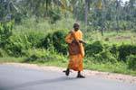 Old Buddhist monk walking along the road, Kurunegala, Sri Lanka Ceylon.