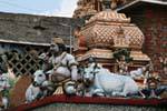 God paunchy and sacred cows, sculptures of Hindu temple Matale, Sri Lanka Ceylon.