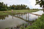 Crossing a fragile wooden bridge pedestrian, road Batukotuwa, Sri Lanka Ceylon.