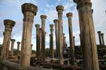 The octagonal columns in the Medirigiriya Watadageya, Sri Lanka Ceylon.