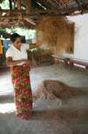 The fiber or coconut husk is used to make brushes, mats ... Nalanda, Sri Lanka Ceylon.