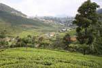 Panorama from the heights arriving in Nuwara Eliya, Sri Lanka Ceylon.