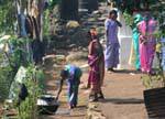 Daily life of tea pickers at rest, PBC Highway, Sri Lanka Ceylon.
