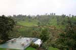 Terrace in the middle of tea plantations landscape, Tea Factory, Nuwara Eliya, Sri Lanka Ceylon.