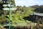 Topiary in the garden of the Tea Factory Hotel, Nuwara Eliya, Sri Lanka Ceylon.