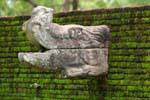 So outgoing gargoyle of a wall, Alahana Parivena, Polonnaruwa, Sri Lanka Ceylon.
