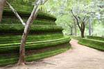 Full foam core of a large stupa, Alahana Pririvena, Polonnaruwa, Sri Lanka Ceylon.