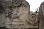 Funny lion on the banister of Vatadage Temple, Polonnaruwa, Sri Lanka Ceylon.