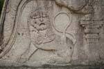Feline amazement, relief Terrace of the Tooth, Vatadage, Polonnaruwa, Sri Lanka Ceylon.