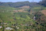Landscape towards Talawakele and St Clair Falls, Sri Lanka Ceylon.