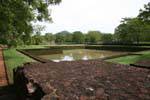 Basin pad in the gardens of Sigiriya, Sri Lanka Ceylon.