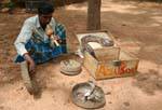 The snake charmer Sigiriya Mount of Remembrance, Sri Lanka Ceylon.