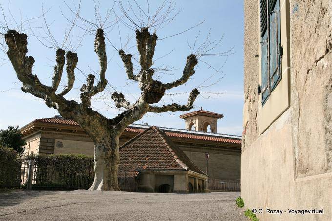 Tree and buildings around the castle of the Bishopric, Lausanne - Switzerland