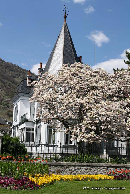 Spring flowers in Martigny - Switzerland