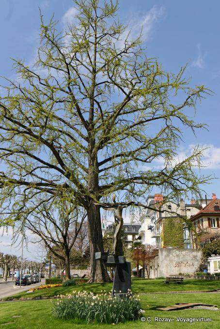 The tree and sculpture, Perdonnet pier, Vevey - Switzerland