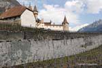 Mountains, vineyards and Aigle Castle, Switzerland.