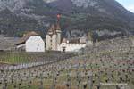 View of the castle of Aigle from the surrounding vineyards, Switzerland.