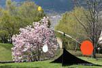 Martigny, Gianadda foundation, Alexander Calder, flowering tree and Stabile-Mobile, painted metal, Switzerland.
