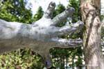 The hand of the Centaur, Bourdelle, Gianadda, Switzerland.