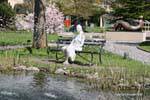 George Segal sculpture behind the fountains, Woman on a bench Gianadda, Switzerland.