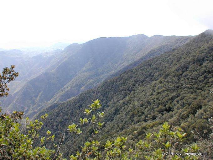 North view of the island Tenerife