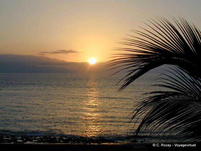 Sol Arena, sunset, Tenerife