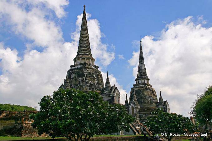 Frangipani front chedis, Ayutthaya, Wat Phra Sri Samp - Thailand