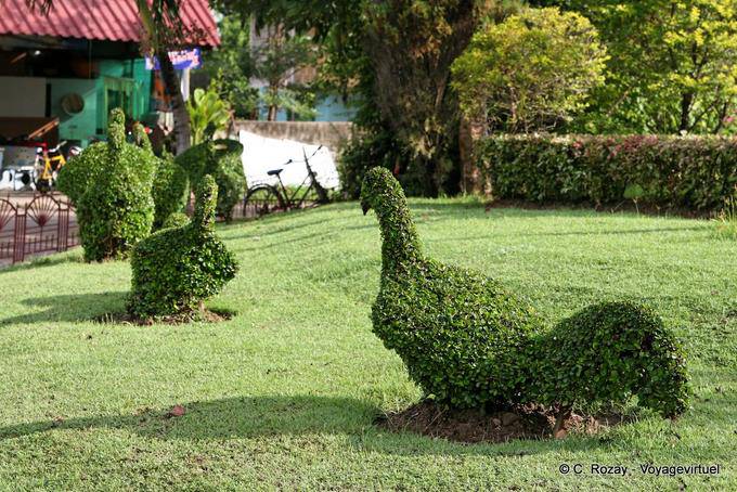 Topiary Gallinaceans, Wat Yai Chai Mongkol, Ayutthaya - Thailand
