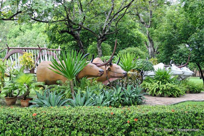 Zebu wood, Wat Yai Chai Mongkol, Ayutthaya - Thailand