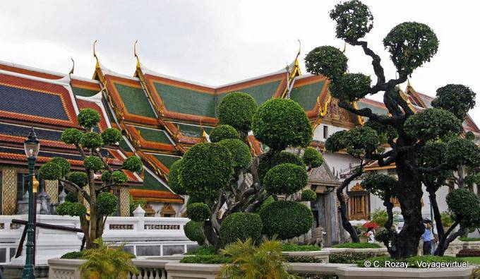 Topiary, Wat Pho (Wat Phra Chettuphon), Bangkok - Thailand