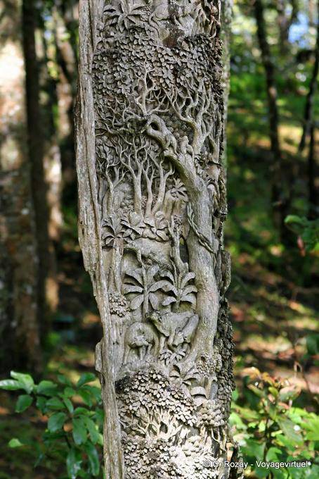 Carved tree Phuping Palace, Chiang Mai - Thailand