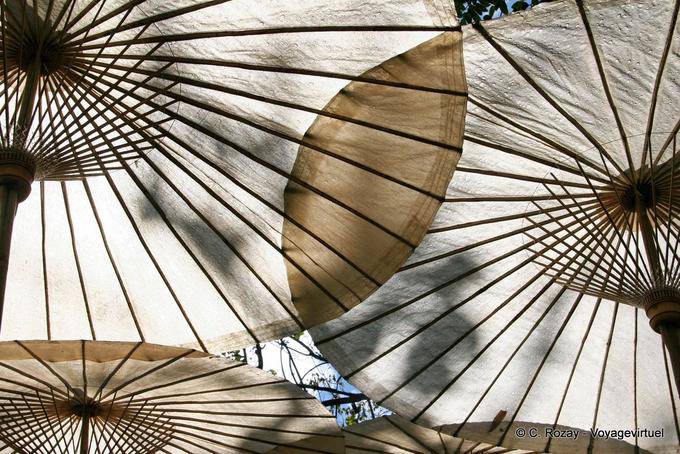 Large umbrellas, Phuping Palace, Chiang Mai - Thailand