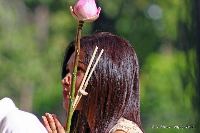 Fervent prayer with lotus, Chiang Mai Temple - Thailand
