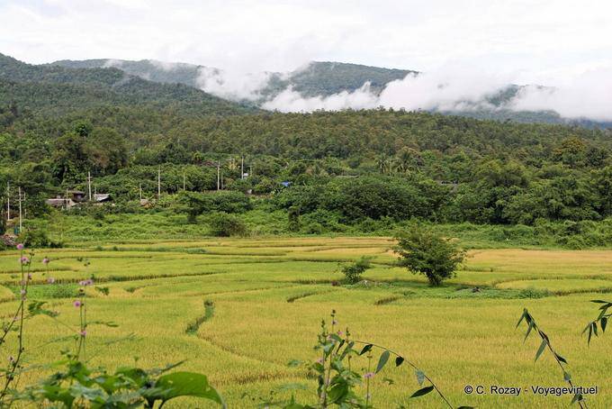Countryside around Chiang Mai - Thailand