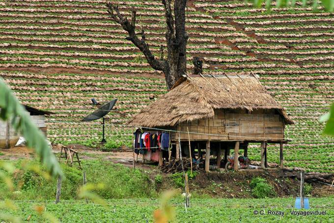 Traditional country house, Chiang Mai - Thailand
