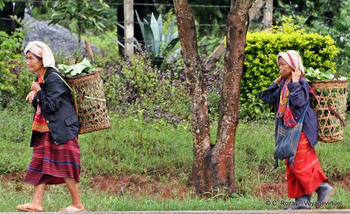 Peasant carrying the harvest, Chiang Mai - Thailand