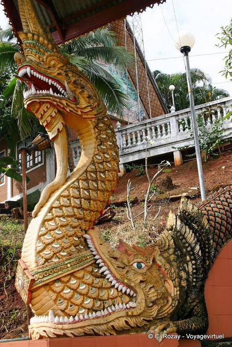 The crocodile eating naga, Northwest Chiang Mai - Thailand