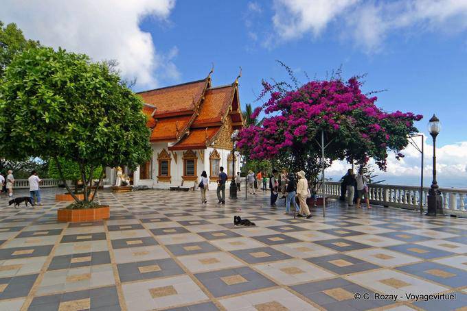 The dog on the terrace, Wat Doi Suthep, Chiang Mai - Thailand