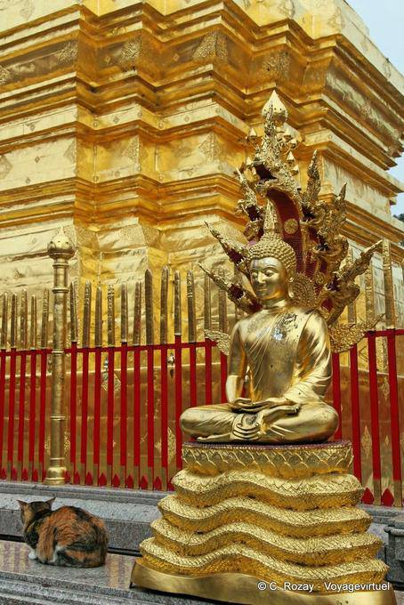Buddha Dhyana Mudra-Wat Doi Suthep, Chiang Mai - Thailand